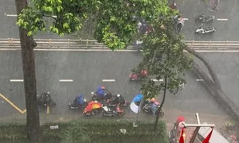 TP HCM: Người bị cây xanh bật gốc đè ngã đã tử vong